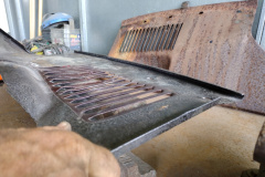 IMG_20220719_174404163