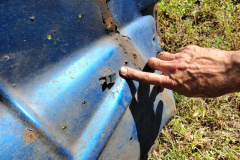 IMG_20221026_124522087