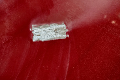 IMG_20220504_121842064_HDR