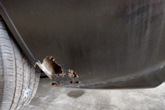 IMG_20220509_125047862_HDR