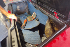 IMG_20220624_140615871