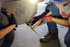 IMG_20220802_172623287