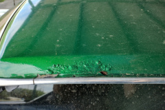 IMG_20220316_121248292_HDR