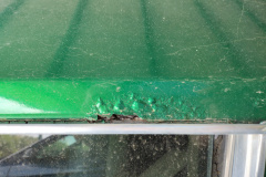 IMG_20220316_121254051