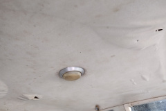 IMG_20220316_123051747