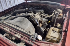 IMG_20220520_171227611_HDR