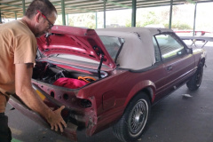 IMG_20221101_110429595