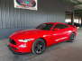 2019 Ford Mustang (red)