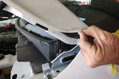 IMG_20221118_134123997