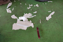 IMG_20221118_141131040