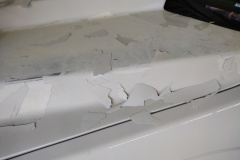 IMG_20221118_141139686