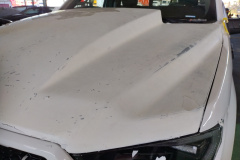 IMG_20221118_144123692