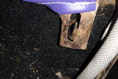 IMG_20220906_180447146